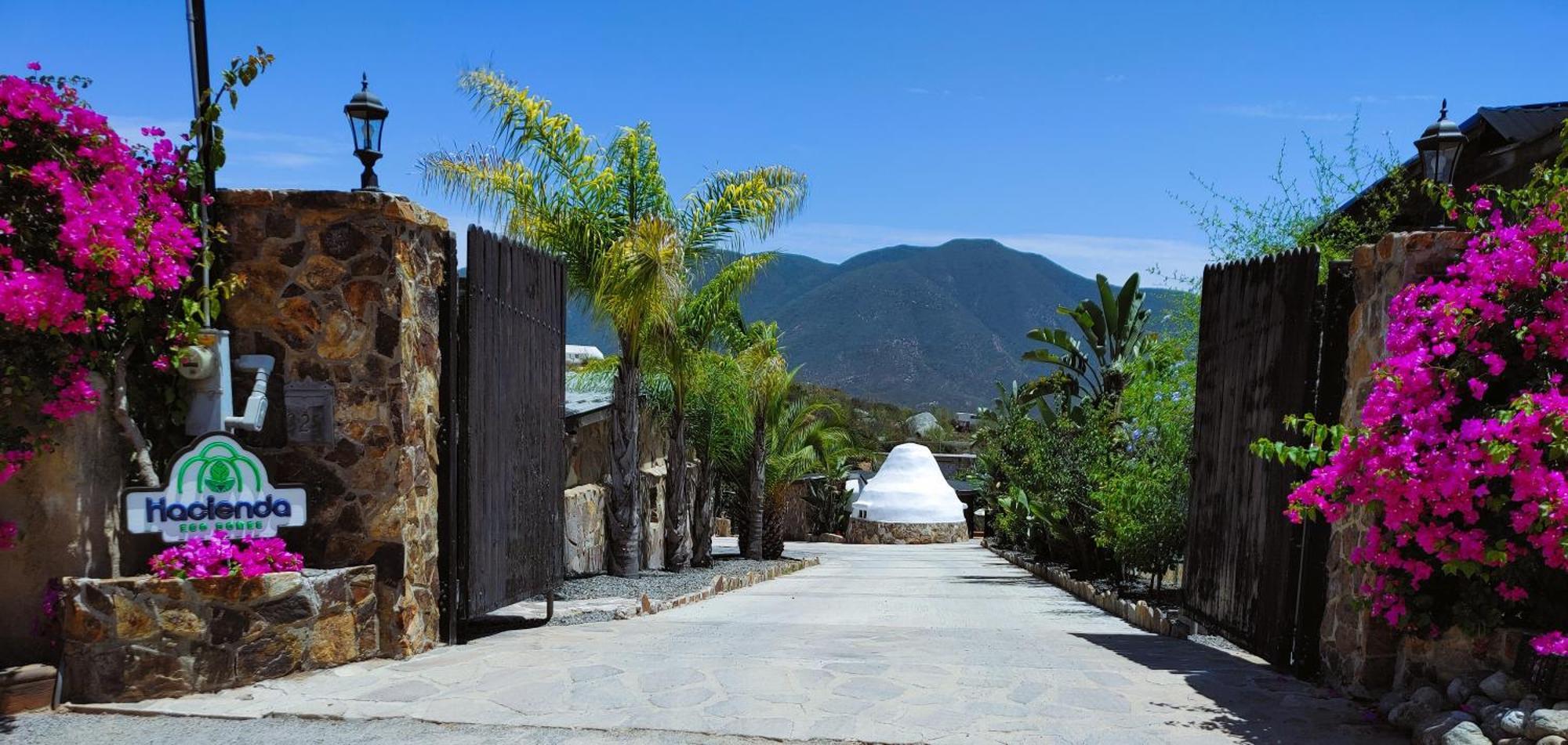 Hacienda Eco-Domes Valle de Guadalupe Exterior foto